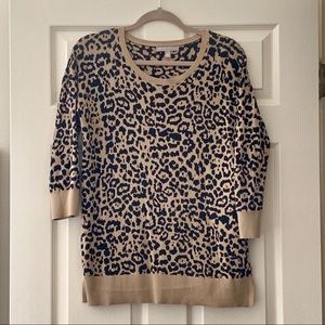 Banana Republic Cheetah Sweater